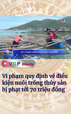 Vi phạm quy định về điều kiện nuôi trồng thủy sản bị phạt tới 70 triệu đồng