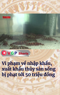 Vi phạm về nhập khẩu, xuất khẩu thủy sản sống bị phạt tới 50 triệu đồng