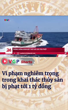 Vi phạm nghiêm trọng trong khai thác thủy sản bị phạt tới 1 tỷ đồng