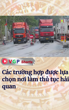 Các trường hợp được lựa chọn nơi làm thủ tục hải quan