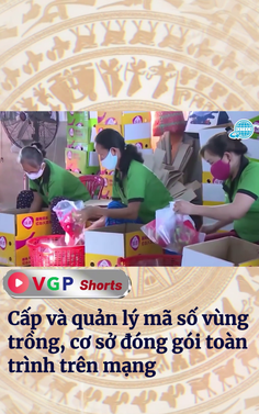Cấp và quản lý mã số vùng trồng, cơ sở đóng gói toàn trình trên mạng