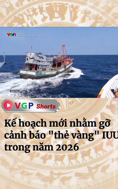 Kế hoạch mới nhằm gỡ cảnh báo "thẻ vàng" IUU trong năm 2026