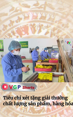 Tiêu chí xét tặng giải thưởng chất lượng sản phẩm, hàng hóa