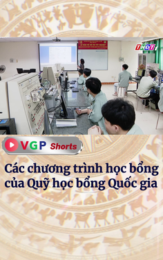 Các chương trình học bổng của Quỹ học bổng Quốc gia