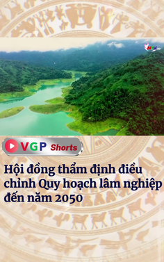 Hội đồng thẩm định điều chỉnh Quy hoạch lâm nghiệp đến năm 2050