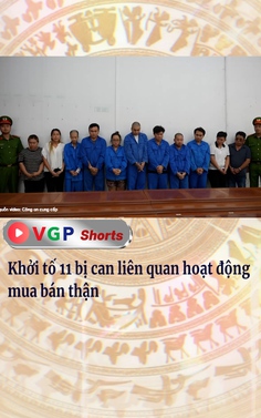Khởi tố 11 bị can liên quan hoạt động mua bán thận