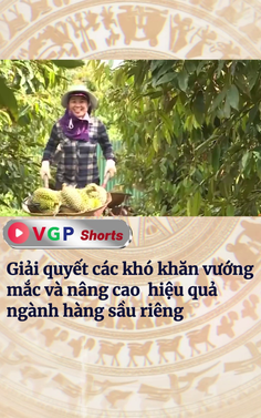 Giải quyết các khó khăn vướng mắc và nâng cao hiệu quả ngành hàng sầu riêng
