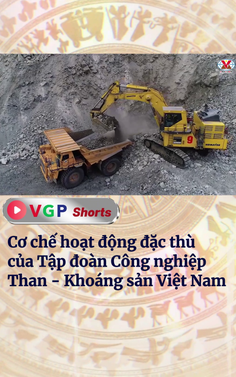 Cơ chế hoạt động đặc thù của Tập đoàn Công nghiệp Than - Khoáng sản Việt Nam