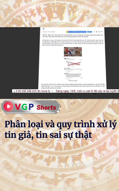 Phân loại và quy trình xử lý tin giả, tin sai sự thật
