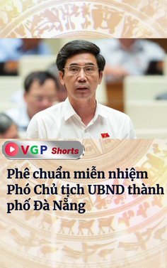 Phê chuẩn miễn nhiệm Phó Chủ tịch UBND thành phố Đà Nẵng