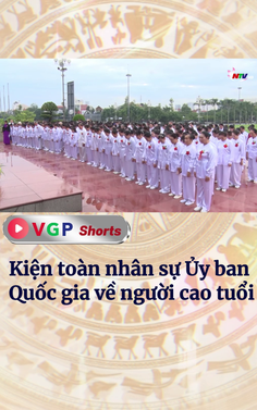 Kiện toàn nhân sự Ủy ban Quốc gia về người cao tuổi
