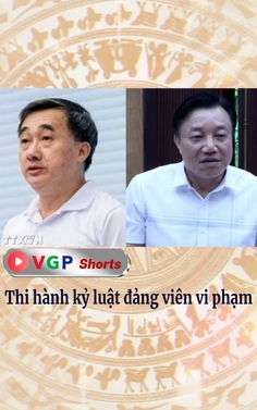 Thi hành kỷ luật đảng viên vi phạm