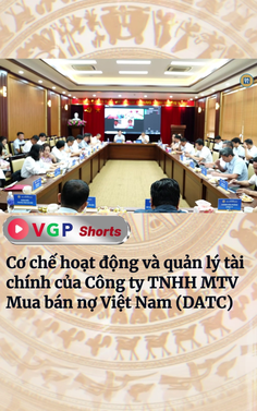Cơ chế hoạt động và quản lý tài chính của Công ty TNHH MTV Mua bán nợ Việt Nam (DATC)