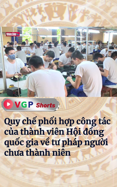 Quy chế phối hợp công tác của thành viên Hội đồng quốc gia về tư pháp người chưa thành niên