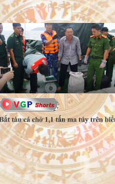 Bắt tàu cá chở 1,16 tấn ma túy trên biển