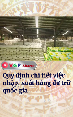 Quy định chi tiết việc nhập, xuất hàng dự trữ quốc gia
