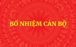 Bổ nhiệm 1 Trợ lý Thủ tướng, 2 Trợ lý Phó Thủ tướng và 2 Phó Tổng Tham mưu trưởng QĐND Việt Nam