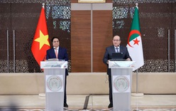 Thủ tướng Algeria: Đưa quan hệ hợp tác với Việt Nam trở thành hình mẫu trong quan hệ quốc tế