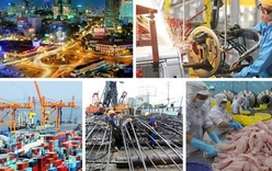 Thành lập Hội đồng Tư vấn chính sách