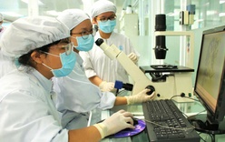 Tạo điều kiện để nữ trí thức tham gia nghiên cứu, phát triển khoa học công nghệ