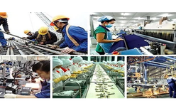 Kế hoạch hành động của Chính phủ về phát triển kinh tế tư nhân