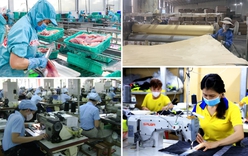 Thành lập Ban Chỉ đạo quốc gia triển khai Nghị quyết số 68-NQ/TW về phát triển kinh tế tư nhân