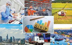 Chuẩn bị Lễ khởi công, khánh thành các dự án quy mô lớn và triển lãm thành tựu kinh tế - xã hội kỷ niệm 80 năm Quốc khánh