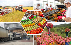 Bảo đảm sản xuất, tiêu thụ, xuất khẩu nông lâm thủy sản trong bối cảnh biến động thương mại toàn cầu