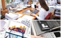 Chỉ đạo, điều hành của Chính phủ, Thủ tướng Chính phủ nổi bật tuần từ 7-13/6/2025