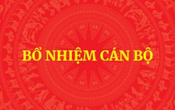 Thủ tướng điều động, bổ nhiệm nhân sự