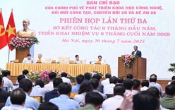 Thủ tướng chủ trì phiên họp Ban Chỉ đạo về khoa học công nghệ, đổi mới sáng tạo, chuyển đổi số