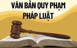 Bảo đảm chất lượng các dự án luật, đẩy nhanh tiến độ soạn thảo văn bản quy định chi tiết
