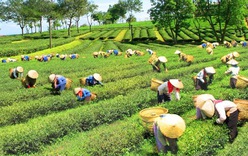 Tạo điều kiện để đồng bào dân tộc thiểu số cùng đất nước bước vào kỷ nguyên phát triển mới