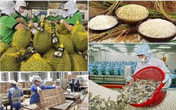 Tăng cường truy xuất nguồn gốc, đảm bảo chất lượng sản phẩm nông, lâm, thủy sản xuất khẩu