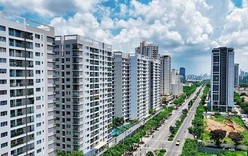 Kiện toàn Ban Chỉ đạo Trung ương về chính sách nhà ở và thị trường bất động sản