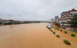 Khẩn trương khắc phục hậu quả mưa lũ tại Cao Bằng, Tuyên Quang, Lào Cai