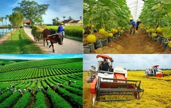 Kiện toàn Ban Chỉ đạo quốc gia về kinh tế tập thể