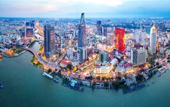 Quy chế hoạt động của Ban Chỉ đạo thực hiện thí điểm một số cơ chế, chính sách đặc thù phát triển TPHCM