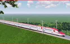 Kết luận của Thường trực Chính phủ về triển khai các tuyến đường sắt