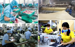 Quyết liệt thực hiện 3 đột phá chiến lược để phát triển kinh tế tư nhân