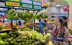 Chỉ đạo, điều hành của Chính phủ, Thủ tướng Chính phủ nổi bật tuần từ 28/3-3/4/2026