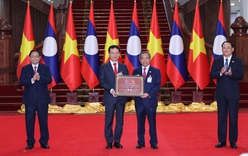 Viet Nam, Laos officially set up digital partnership