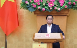 Cabinet discusses on law making