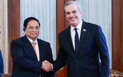 Prime Minister Pham Minh Chinh holds talks with Dominican President