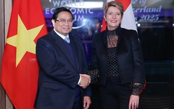 Viet Nam, Switzerland issue Statement on advancing partnership