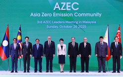 Prime Minister Pham Minh Chinh attends 3rd Asia Zero Emission Community Leaders' Meeting