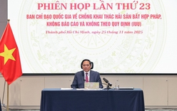 Gov’t is determined to fulfill tasks against IUU on schedule