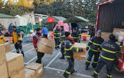 Gov't decrees Viet Nam's overseas aid