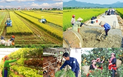 Central Steering Committee for national target programs in 2021-2025 established