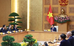 Viet Nam seeks Shandong’s experience in operating Free Trade Zones